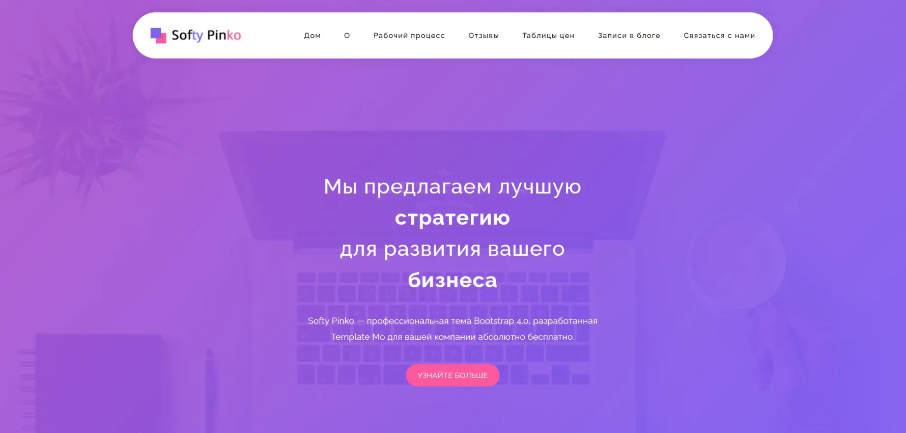SoftyPink Business Strategy